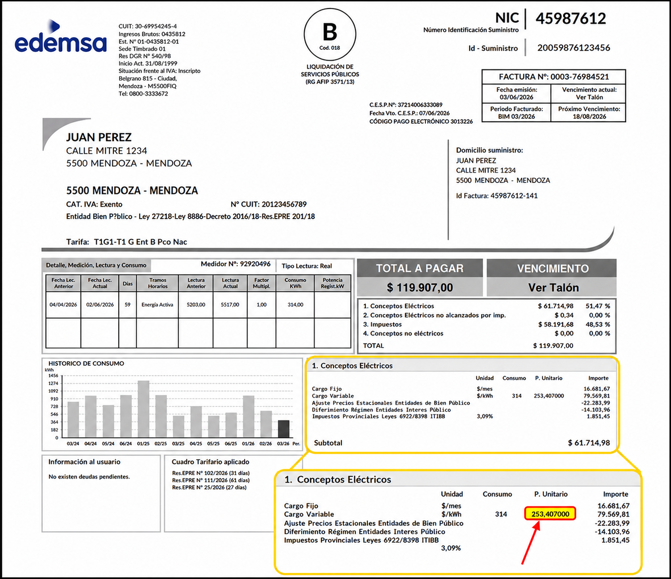 Factura de electricidad de EDEMSA con el precio por kWh señalado en la sección de Conceptos Eléctricos